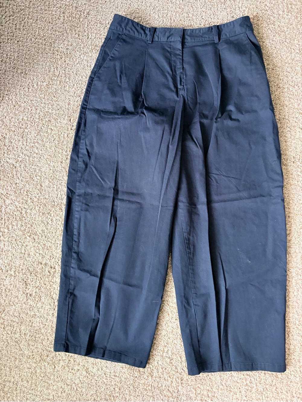 Nordstrom Men's Dark Navy Pleated Dress Trousers